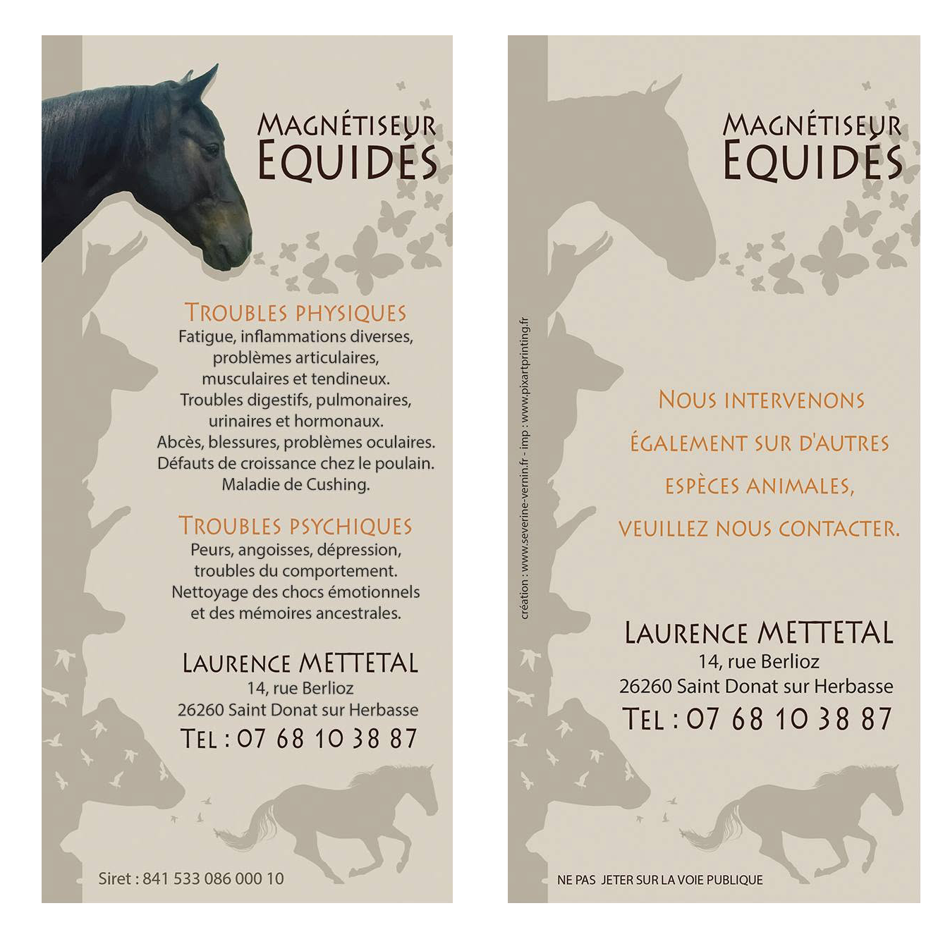 MAGNETISEUR EQUIDES